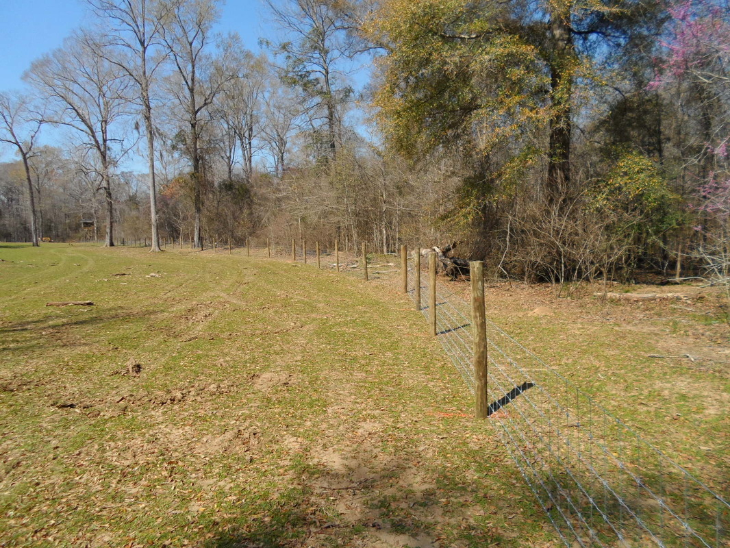 Double J Fencing Quality Fence Construction Hog Fence Double J