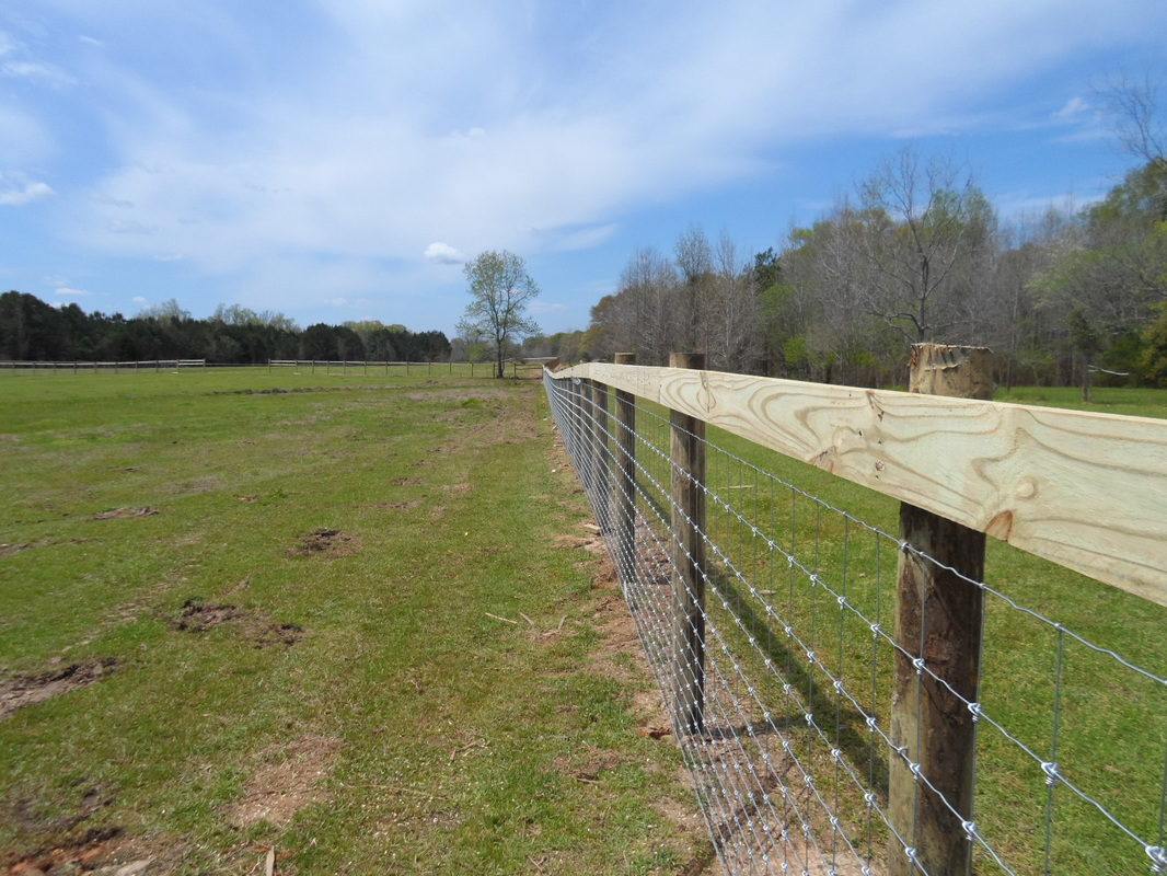 Livestock fencing on sale