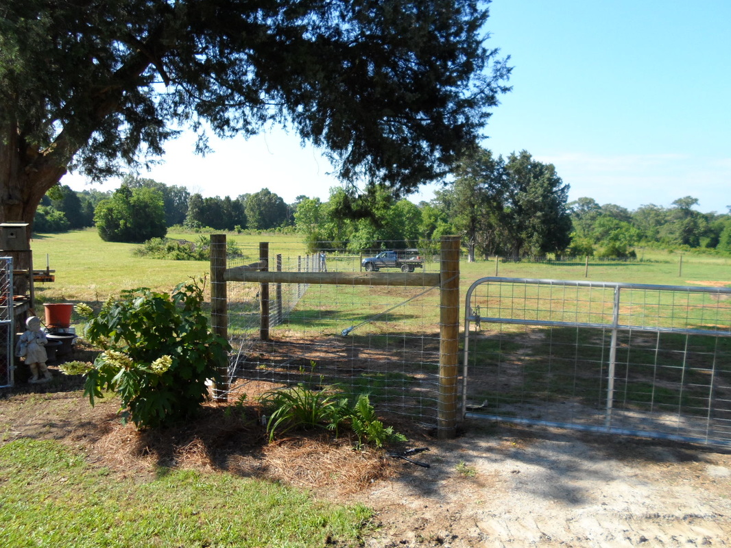 Double J Fencing Quality Fence Construction Livestock Fence